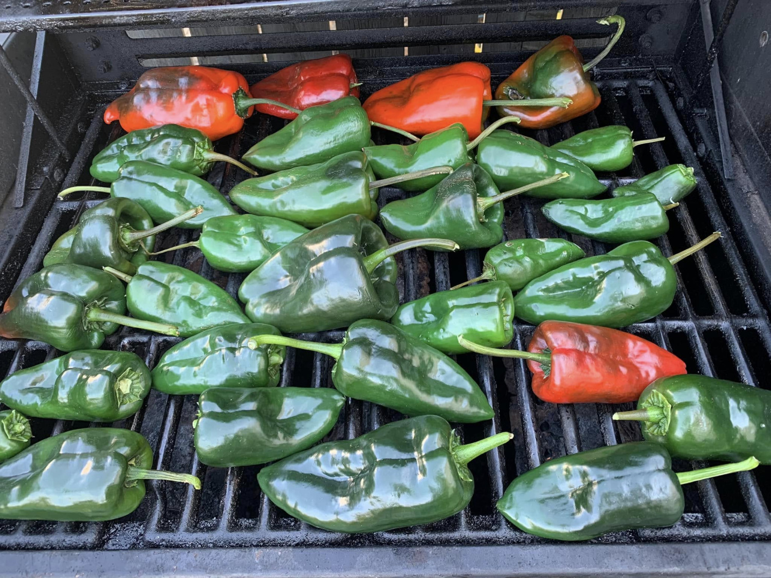 Various Tastes of Hot Sauce